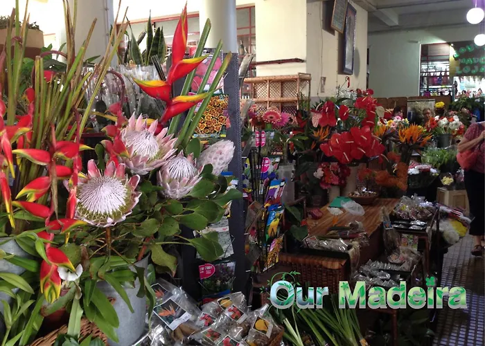 Ourmadeira - Heart Of Old Town II
